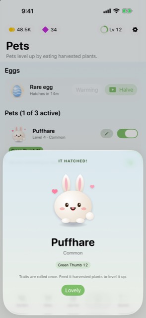 A pet hatching card reading It hatched, showing a white rabbit called Puffhare.